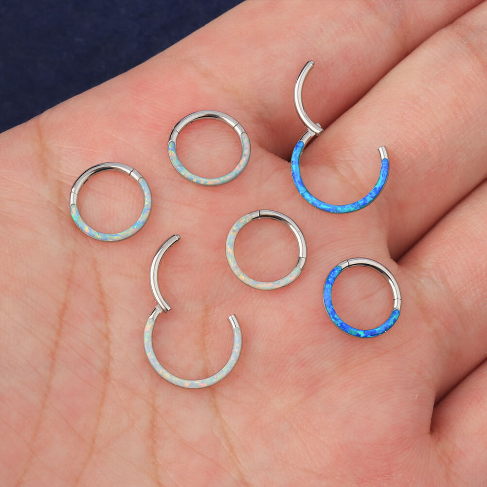 10pcs/lot Titanium Hinged Septum Clicker Segment Nose Ring Hoop Eyebrow Lip  Helix Daith Conch Cartilage Earrings Punk Jewelry | Fruugo NO