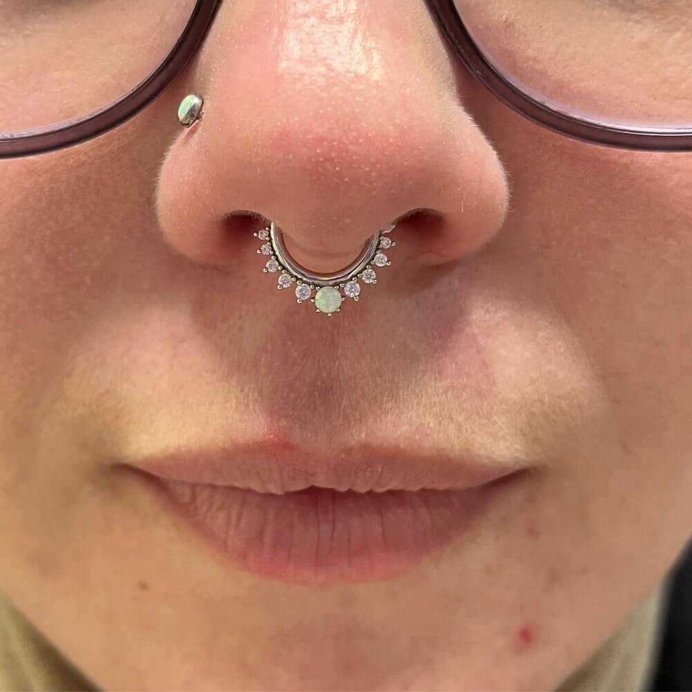 Elegant on sale nose rings